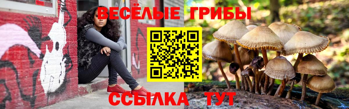 Галлюциногенные грибы прущие грибы Троицк